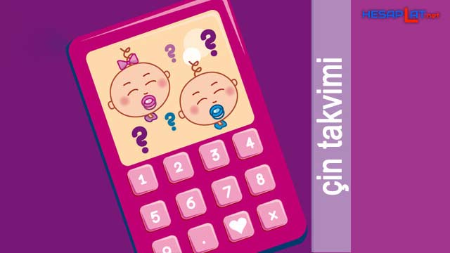 Çin Takvimine Göre Cinsiyet Öğrenme