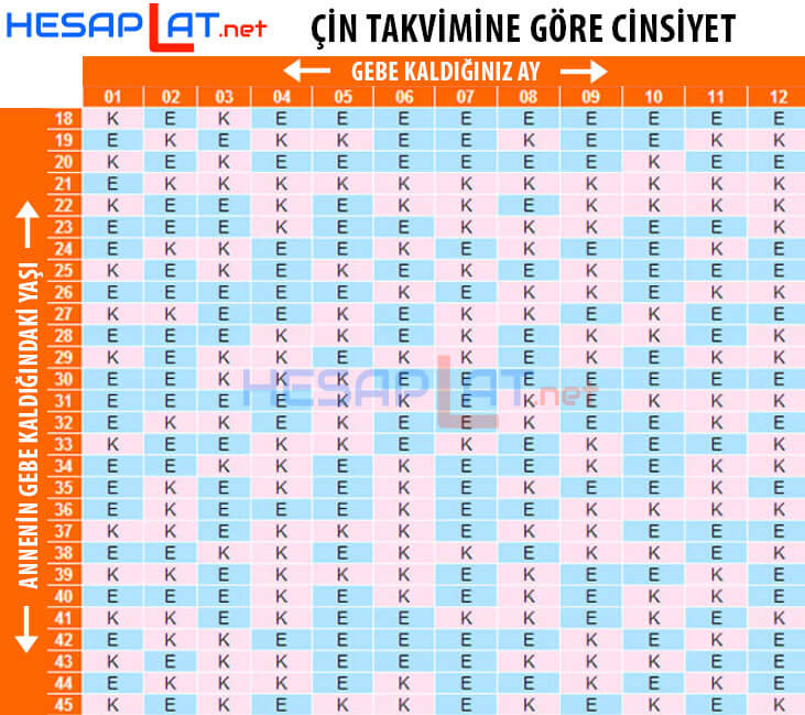 Çin Takvimine Göre Cinsiyet