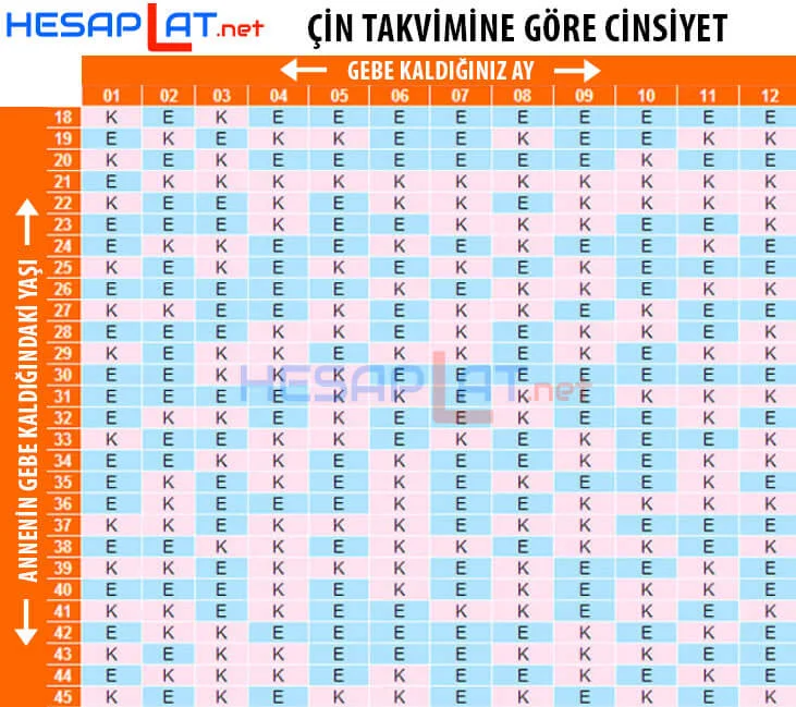 Çin Takvimine Göre Cinsiyet Tablosu