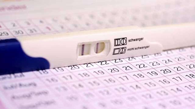 Doğurganlık Dönemi