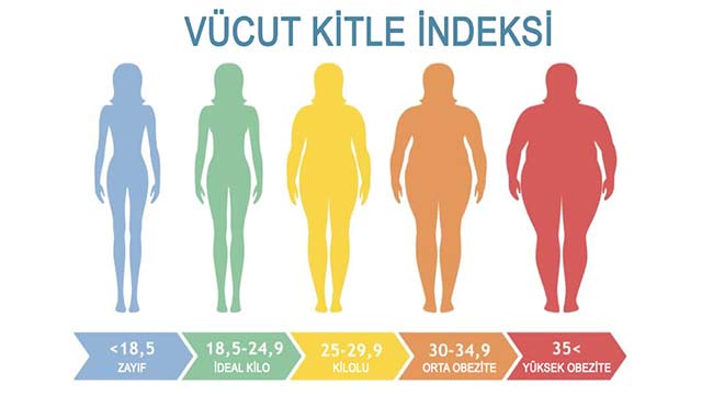 Vücut Kitle İndeksi
